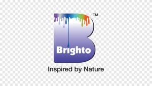 brighto-paints paint compnay website design and development